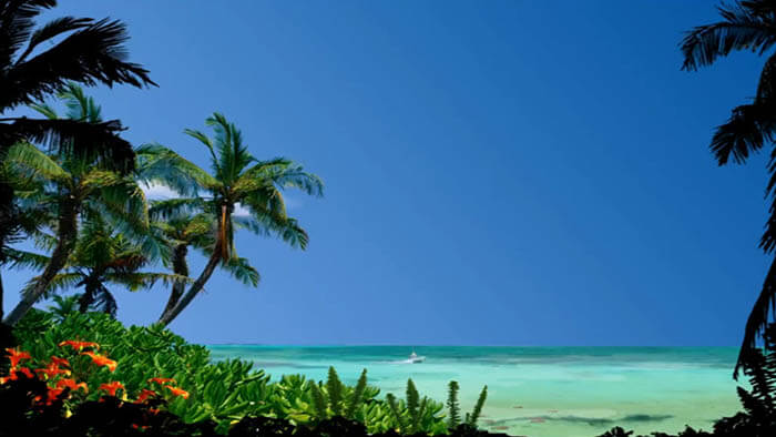 a tropical sunny beach