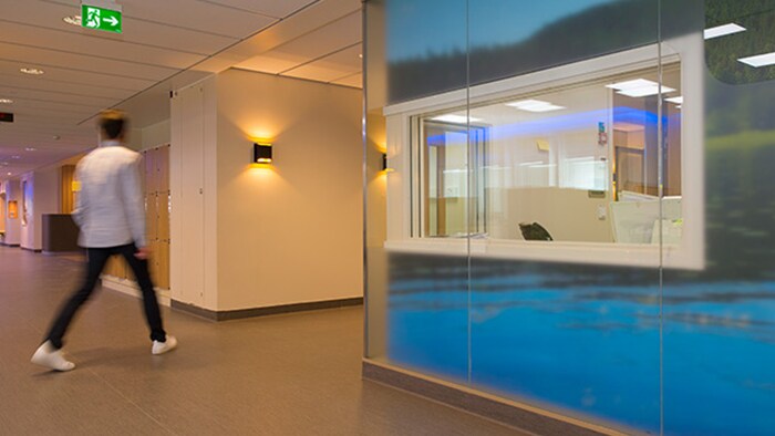 Improving the psychatric care environment